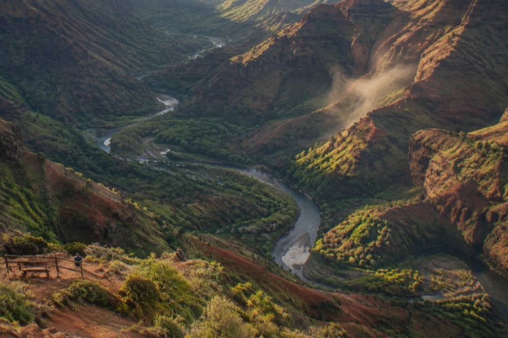 Aerial view of a deep green canyon with red rock layers and a winding river below