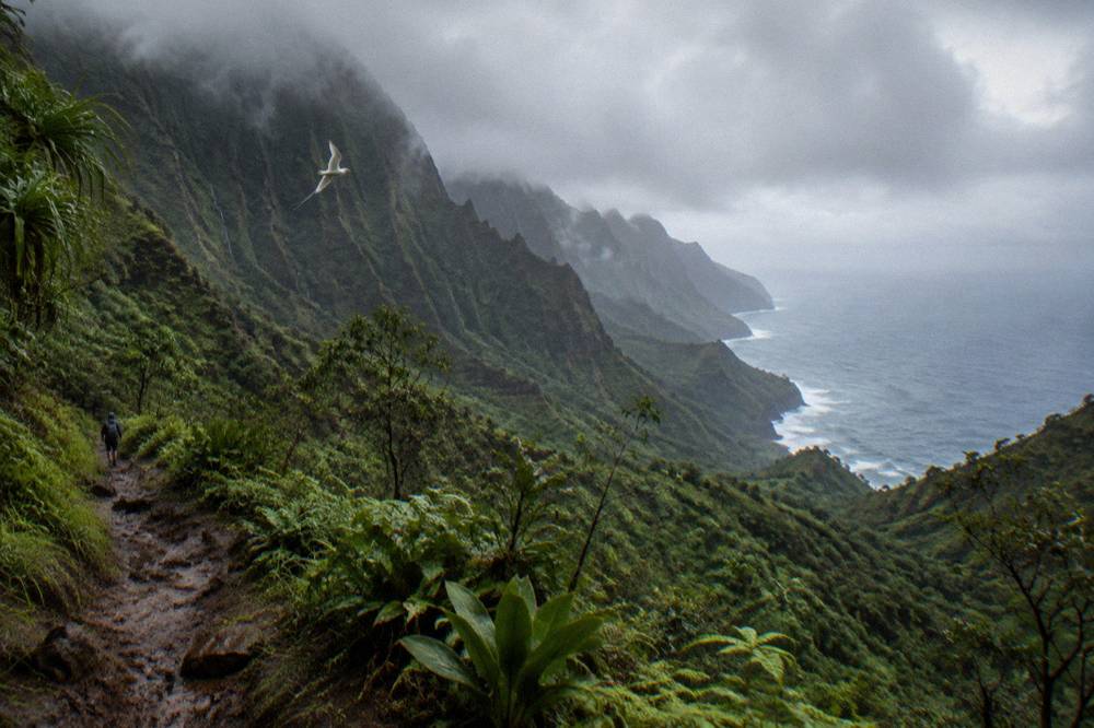Low clouds drifting over green mountain ridges above the ocean on Kauai
