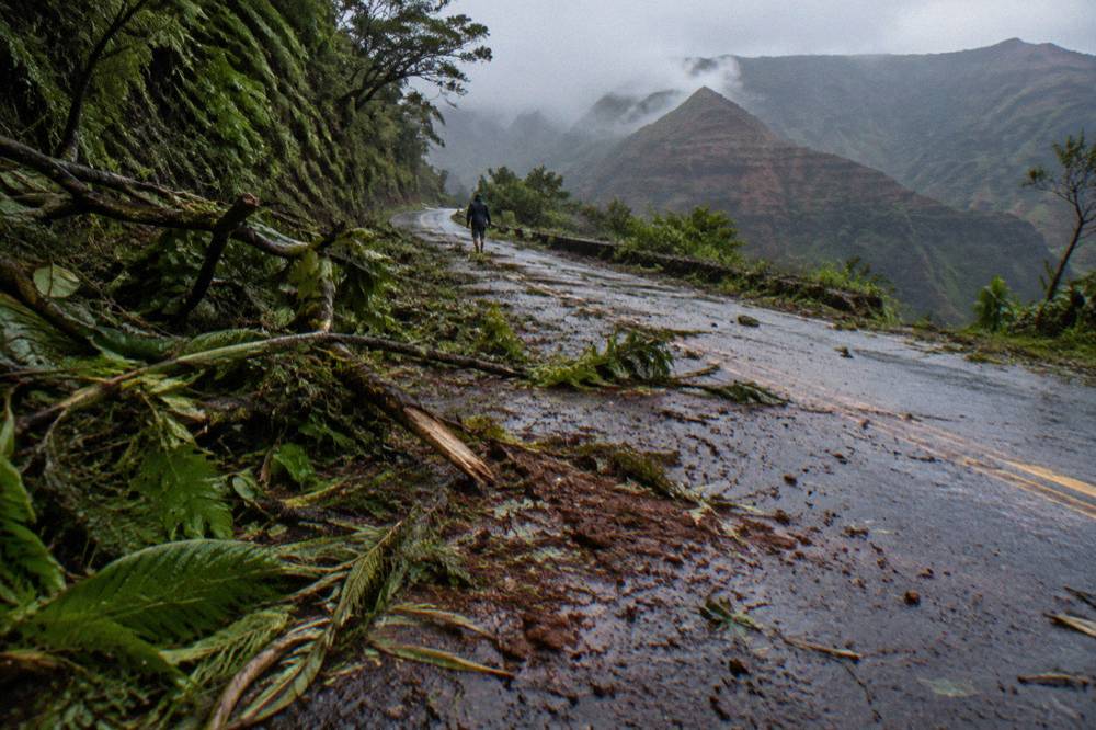 Fallen branches and debris along a forested mountain road with mist