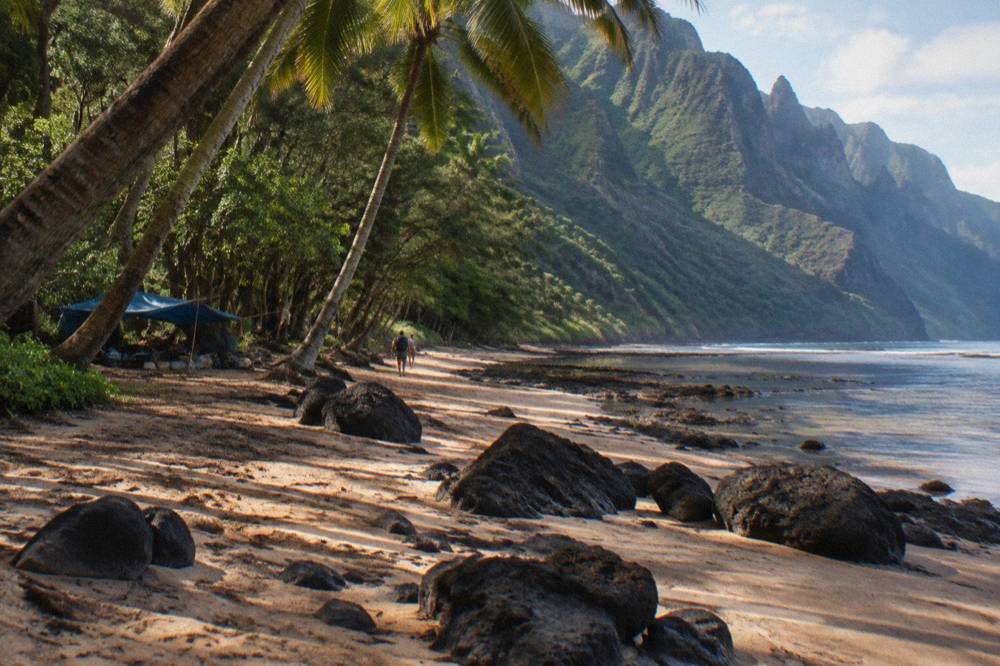 A quiet Kauai beach with palm trees and soft morning light