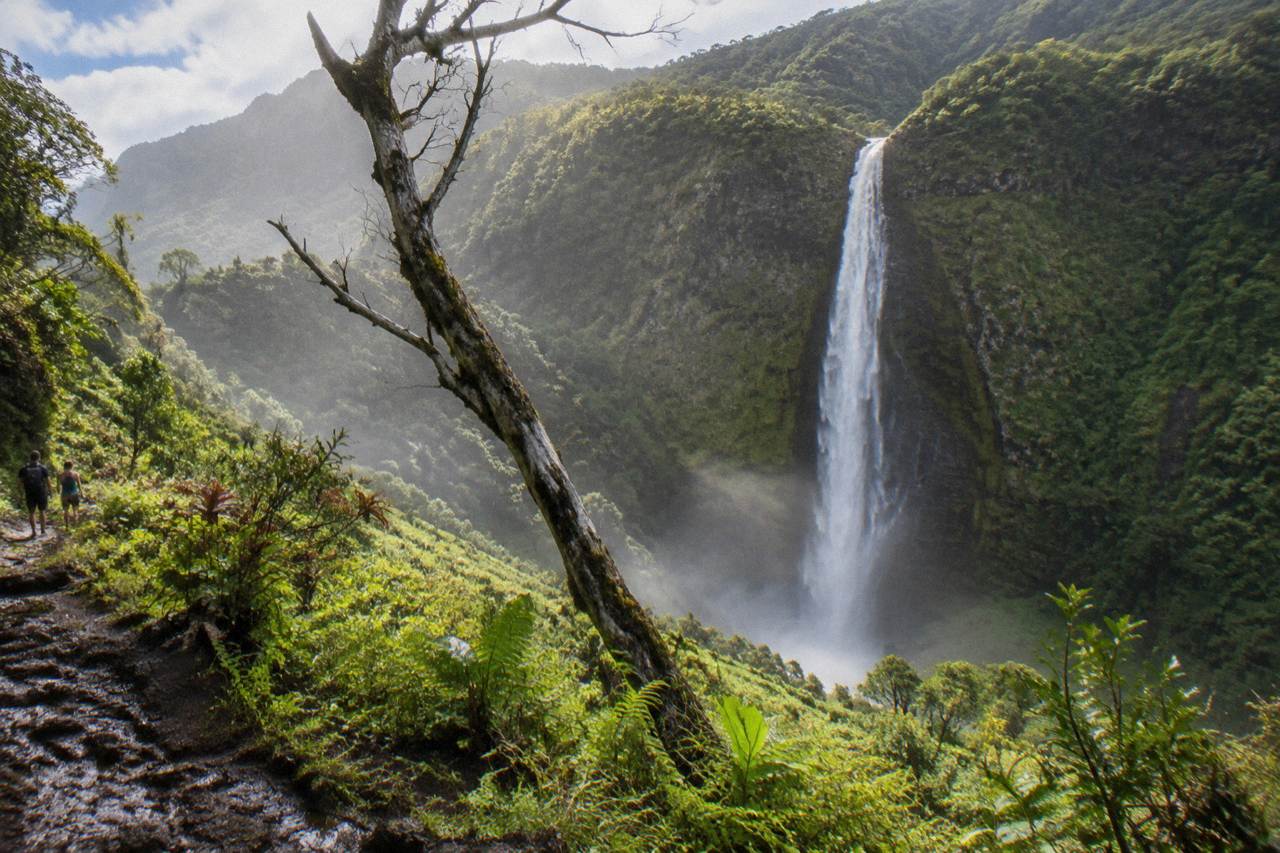 A tall ribbon waterfall dropping down a green cliff face into a forested Hawaiian valley