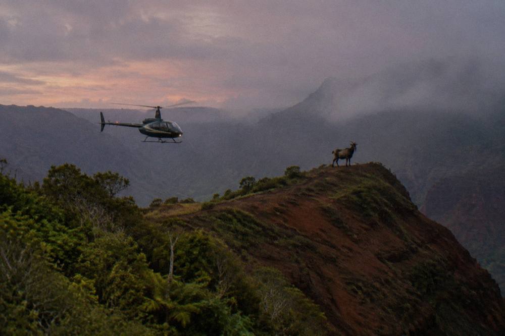 A red volcanic canyon ridge line with green vegetation fading into mist