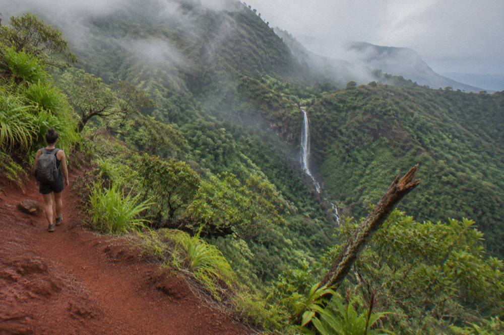 A waterfall dropping through a deep green jungle valley with mist rising off the trees