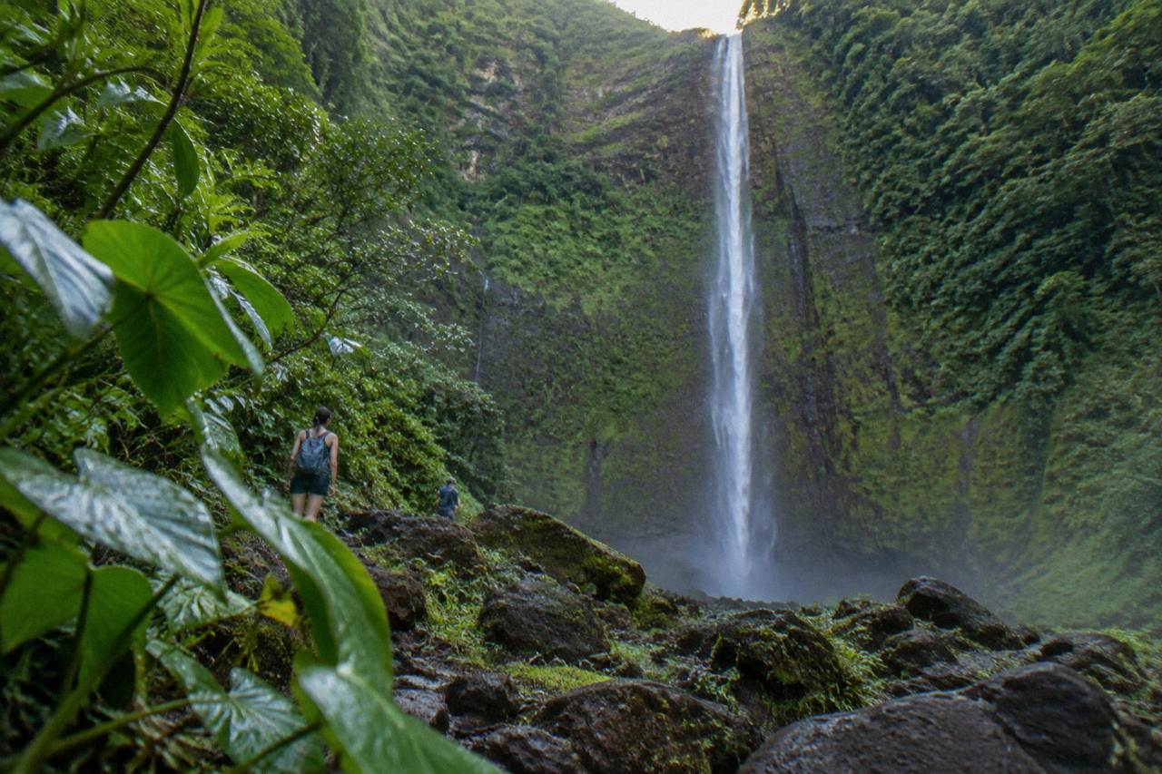 A tall ribbon waterfall pouring down a sheer green cliff face into a forested gorge on Kauai