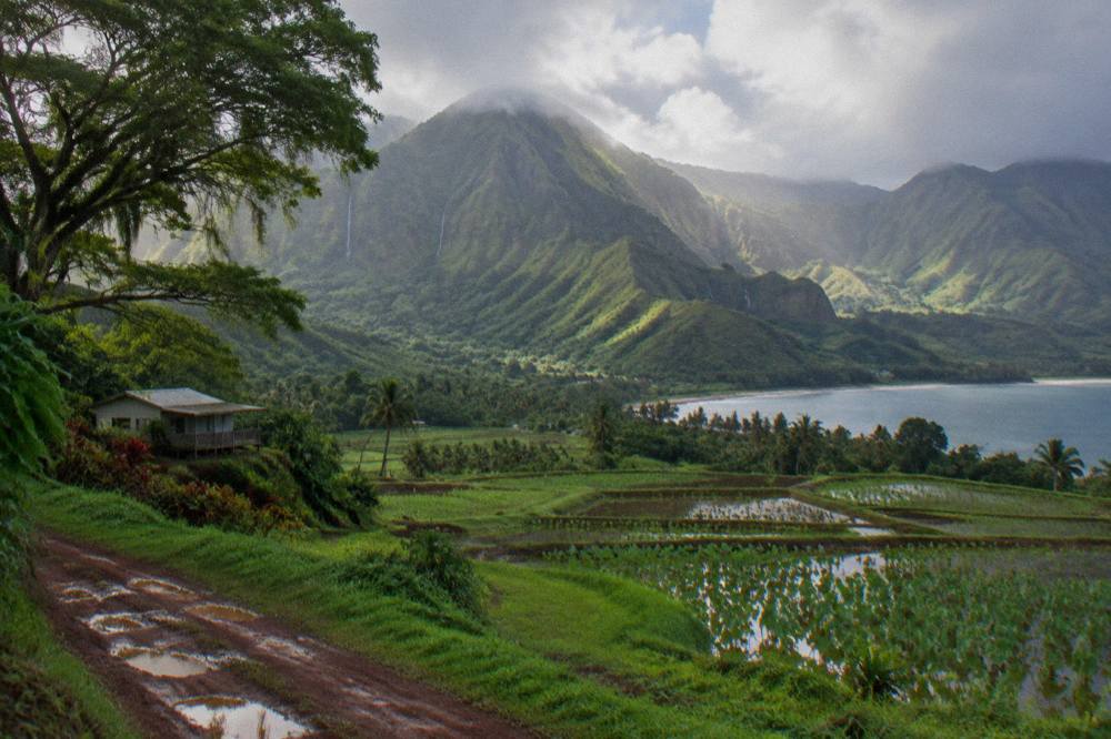 Green cliffs and a waterfall valley on the Kauai north shore