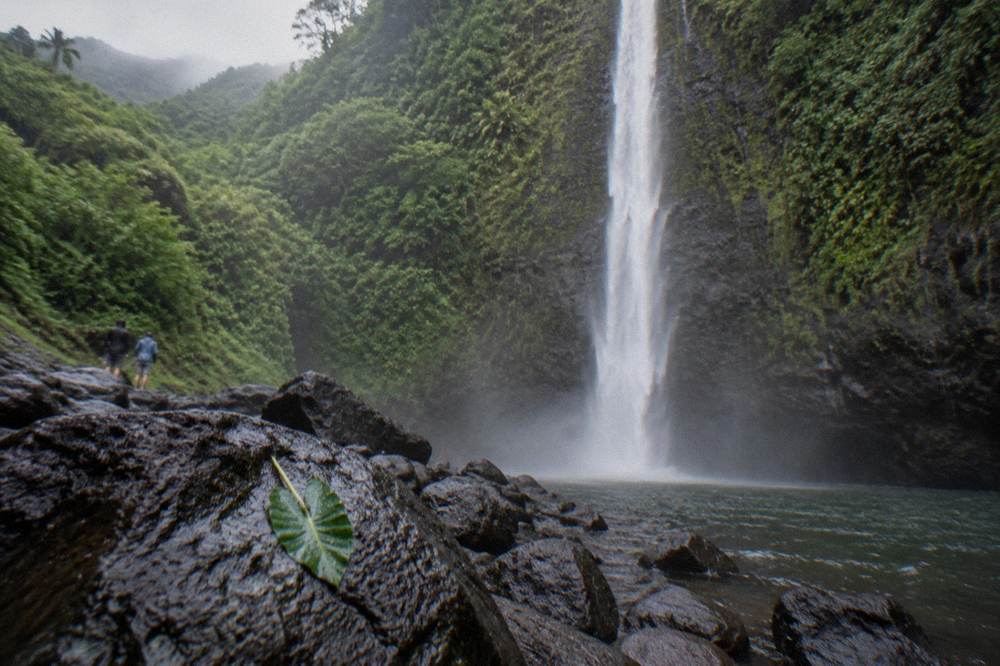 A tall thin waterfall pouring down a dark green cliff face inside a remote jungle valley