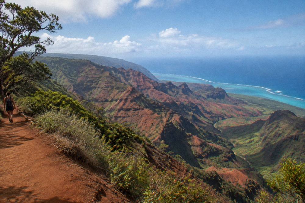 A wide aerial view of Kauai coastline and canyons in clear morning light