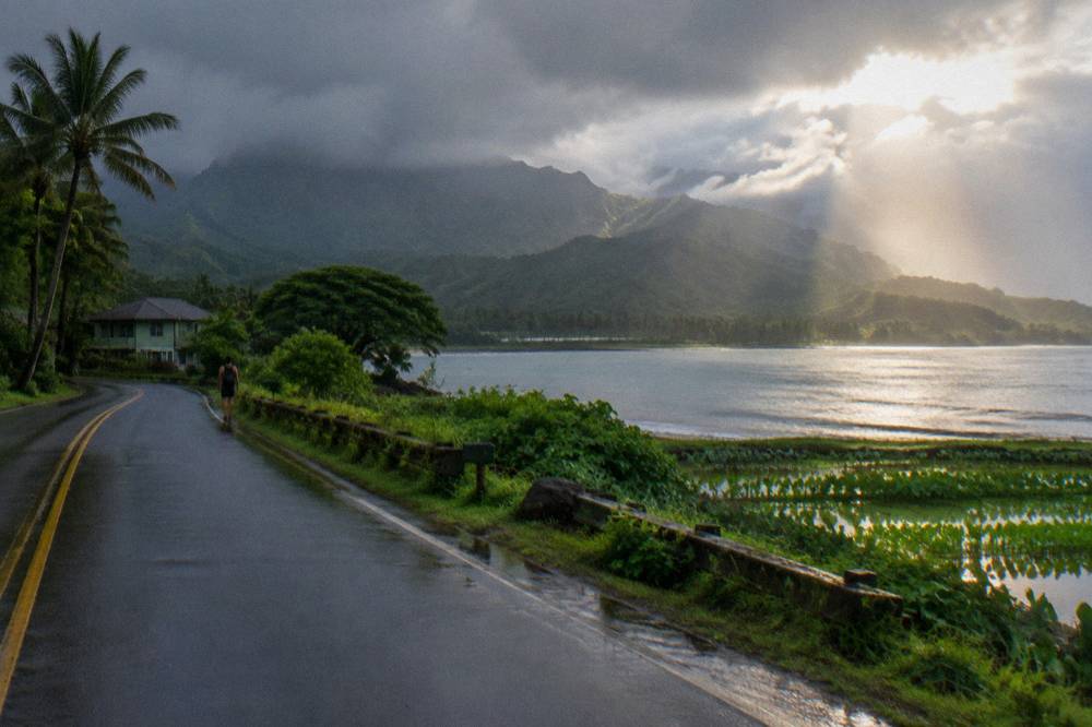 A coastal Kauai road curving beside green cliffs and the ocean