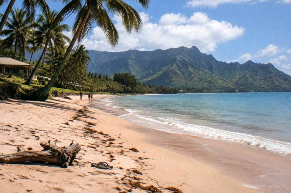 A quiet palm-lined Kauai beach with gentle waves at midday