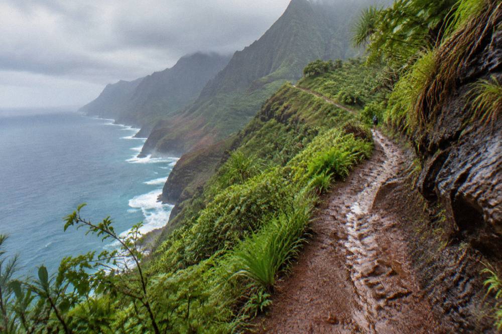 Narrow dirt footpath along a steep green cliff above the sea