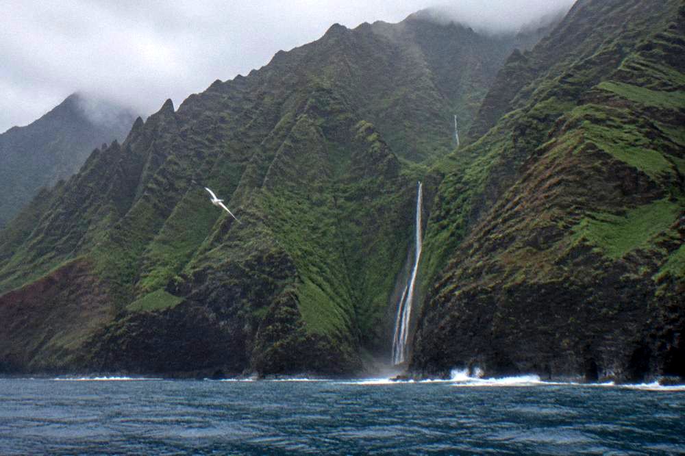 Tall green sea cliffs with a waterfall falling toward the ocean along a remote coastline