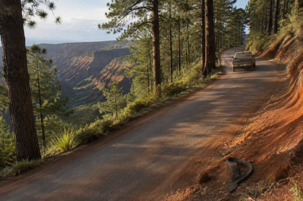 Winding mountain road climbing through forest toward canyon overlook terrain