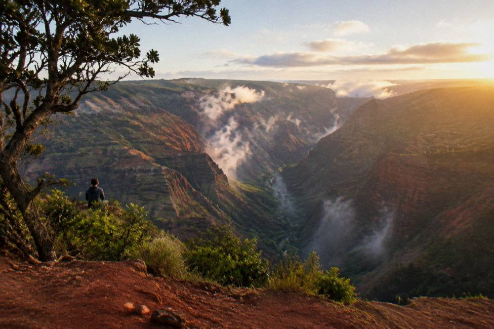 Morning light across canyon ridges with valley mist clearing from the lower gorge