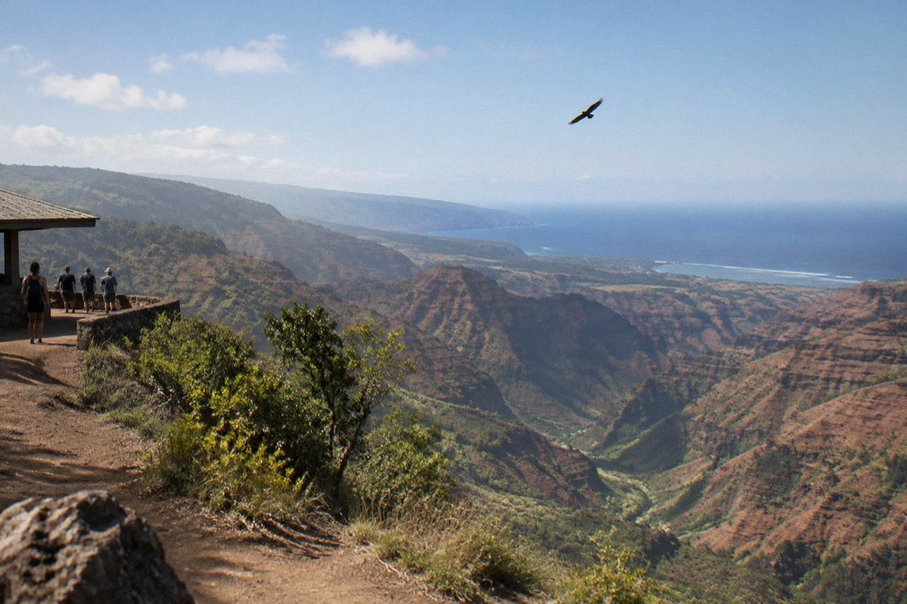 A deep red and green canyon with layered ridges falling away to a distant ocean horizon under scattered clouds